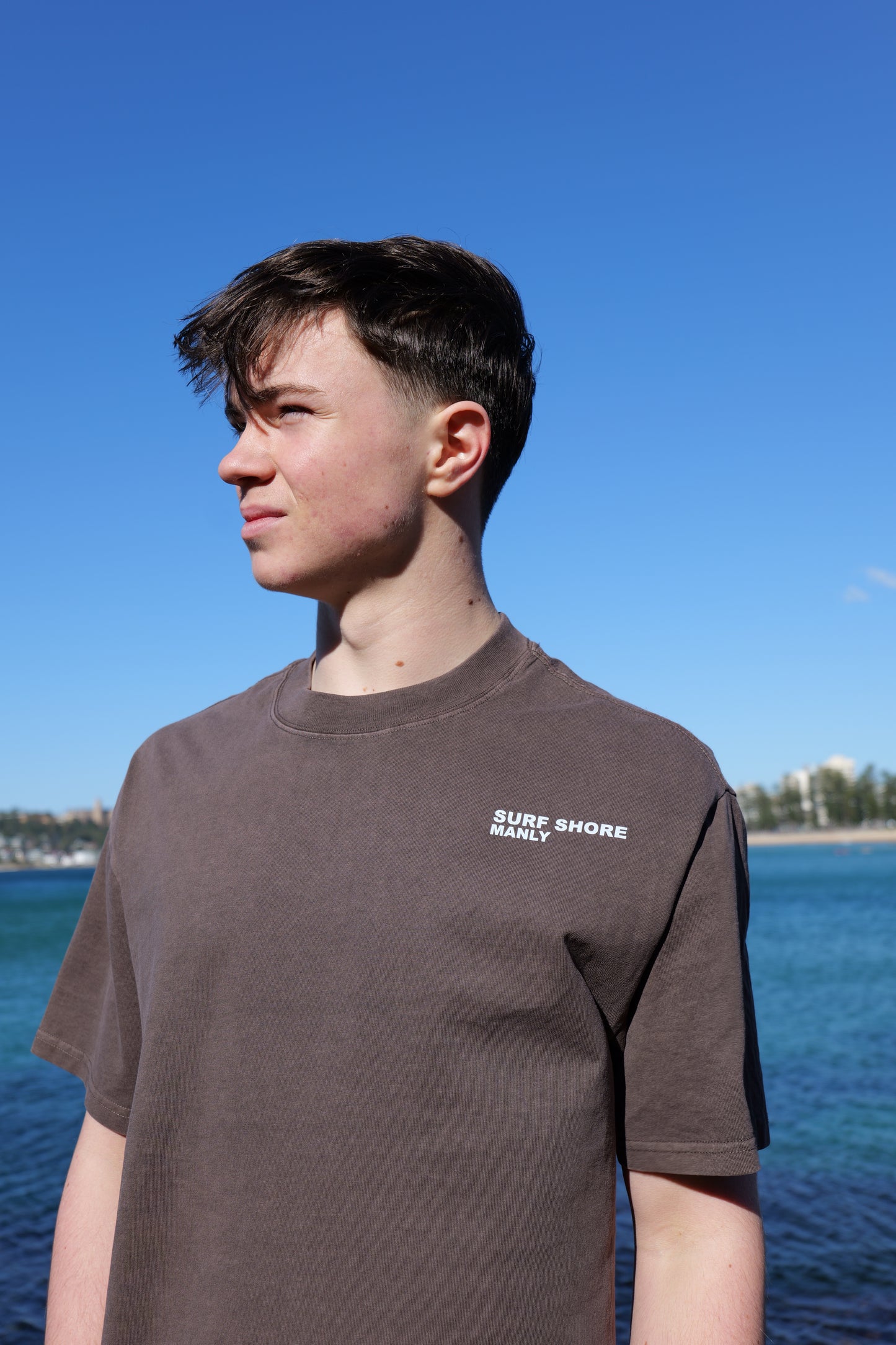 Heavy Tee | Chestnut